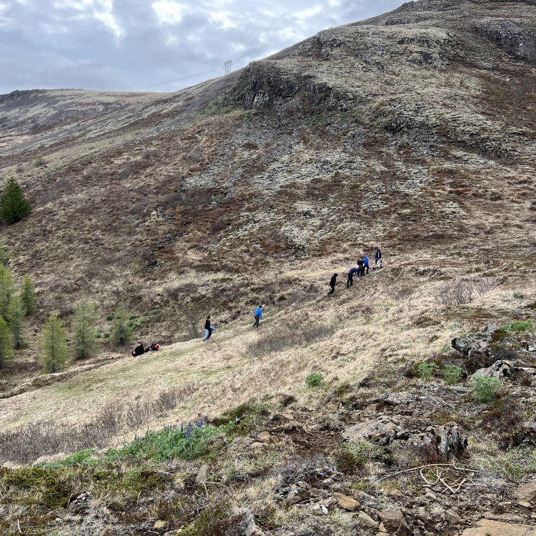 20240527_142619876_ios