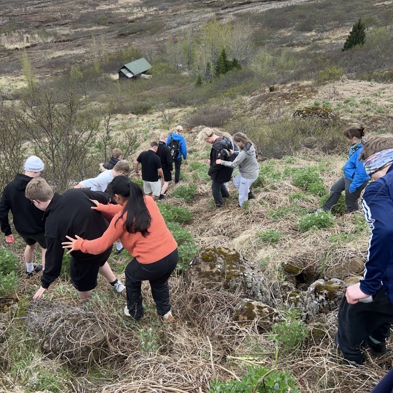 20240527_154554553_ios