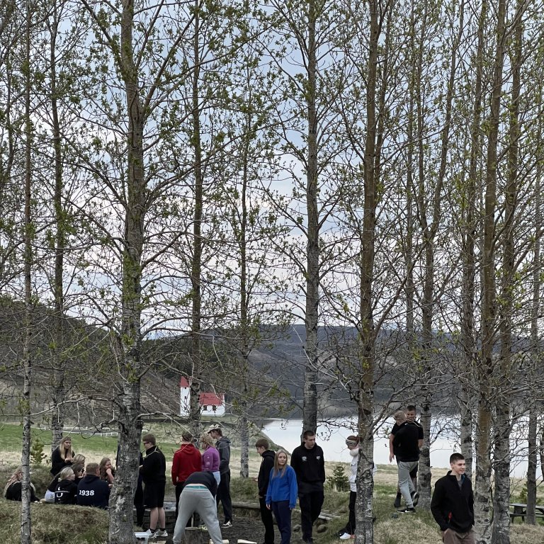 20240527_215607584_ios