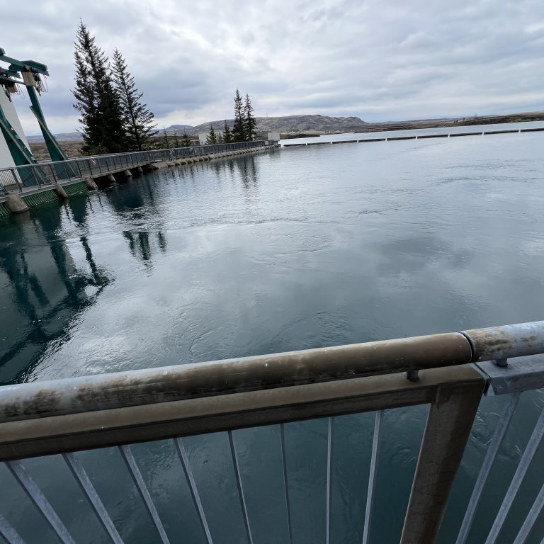 20240528_153428005_ios