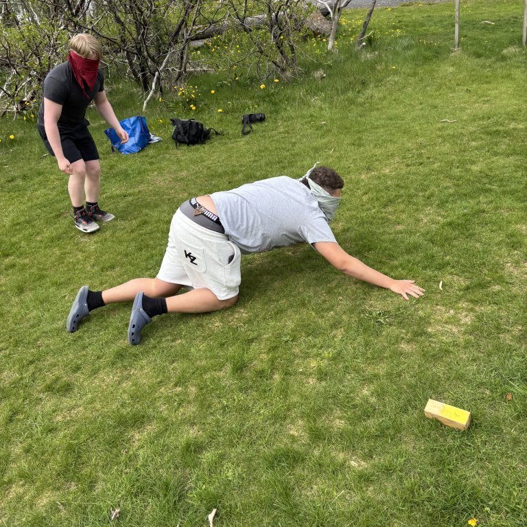 image-20250526-165051-9c8e8add