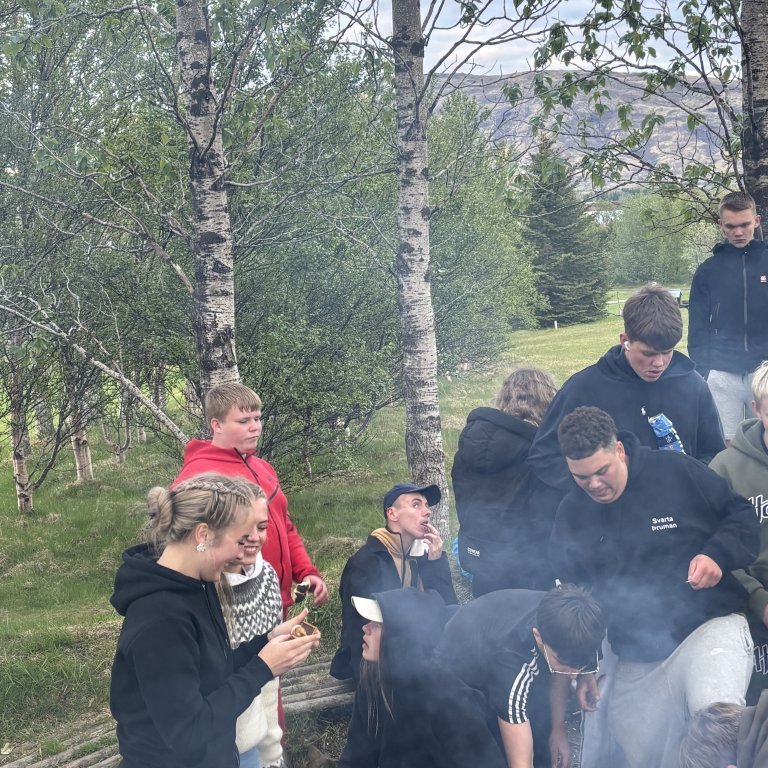 image-20250526-214543-34659513