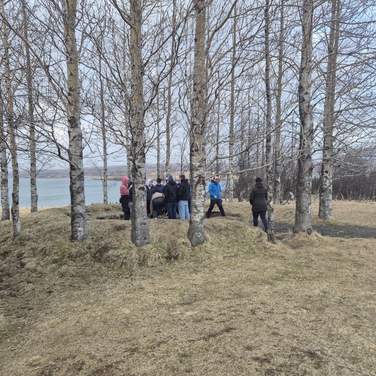 20260511_201850