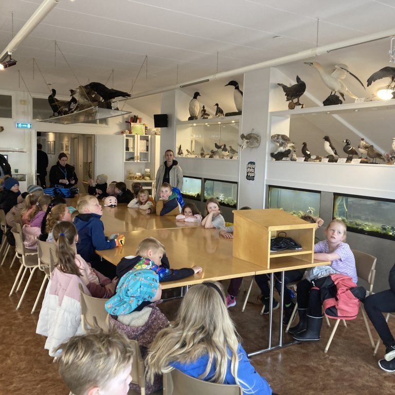 image-20240528-115933-5cf523a8