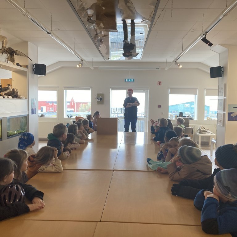 image-20240528-115952-66e566d8