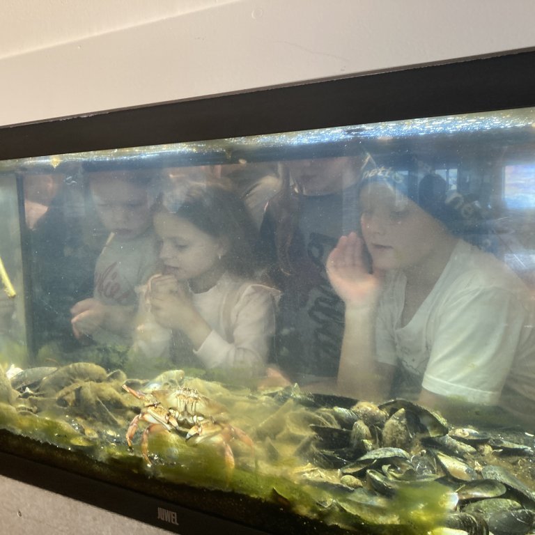 image-20240528-120651-b9071f74