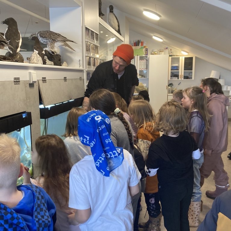 image-20240528-120711-770cdffa