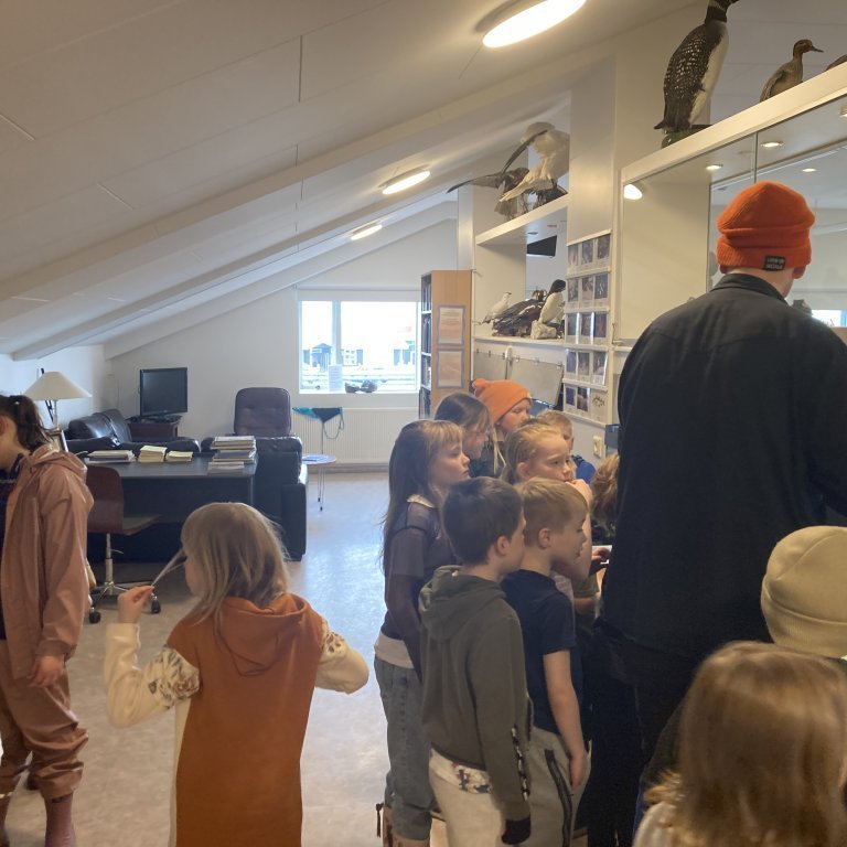 image-20240528-120755-a55f30ad