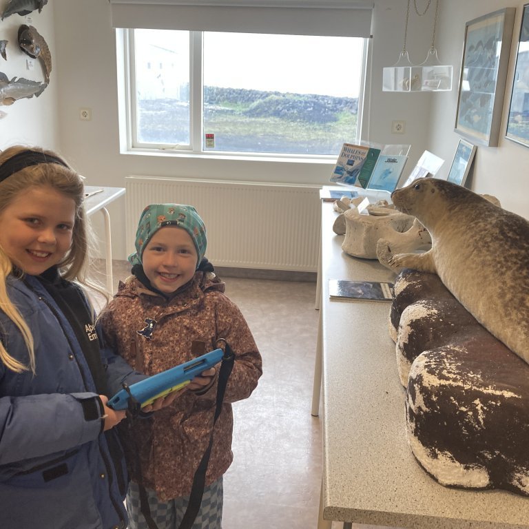 image-20240528-120923-7c335a12