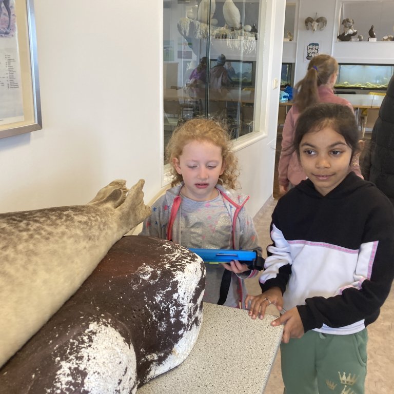 image-20240528-120934-d041d370