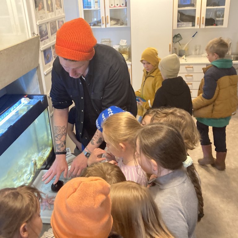 image-20240528-121158-d9297d46