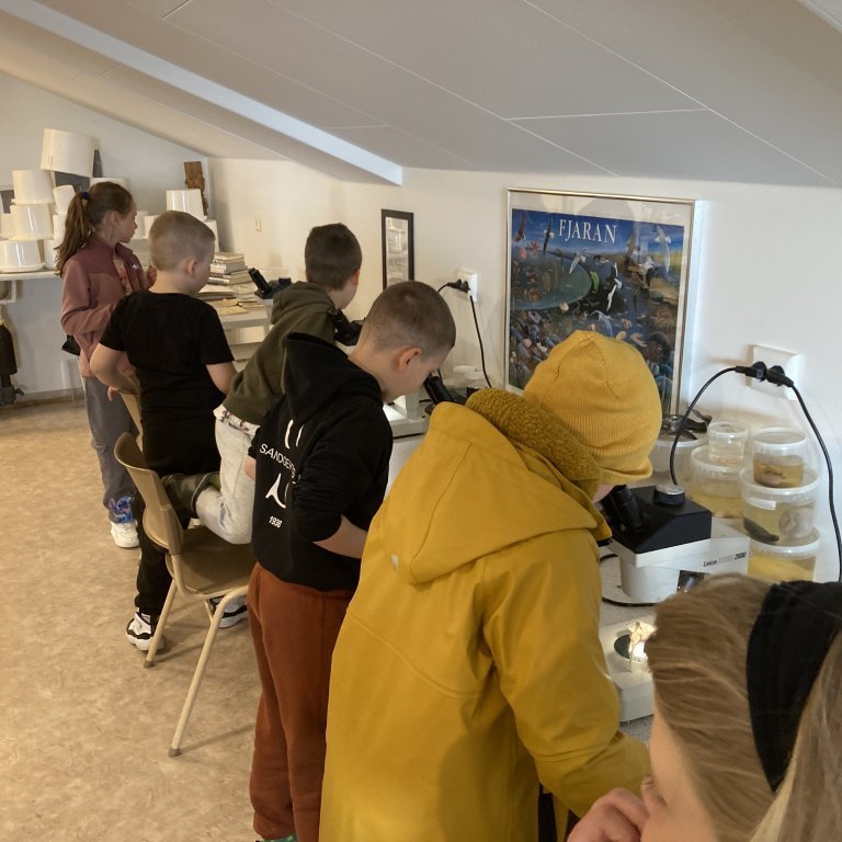 image-20240528-123429-27f018de