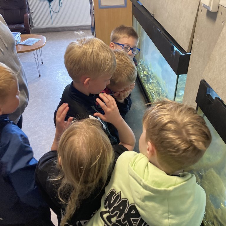 image-20240528-123436-bd482e0b