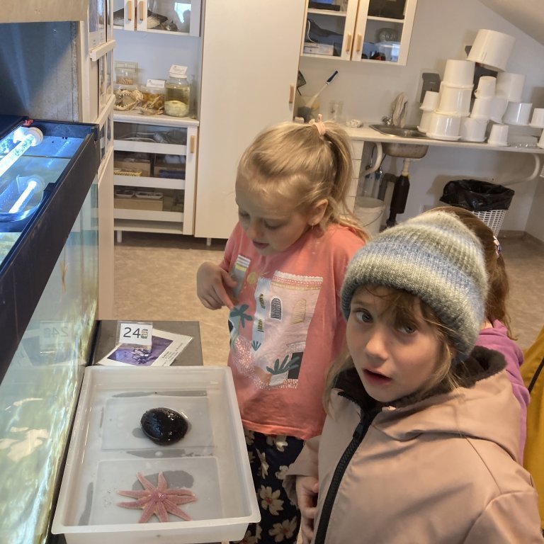 image-20240528-123453-6aaa4146