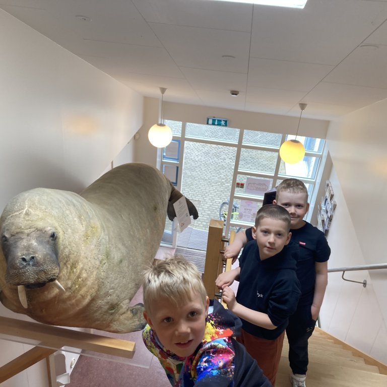 image-20240528-125402-c3c9e83d