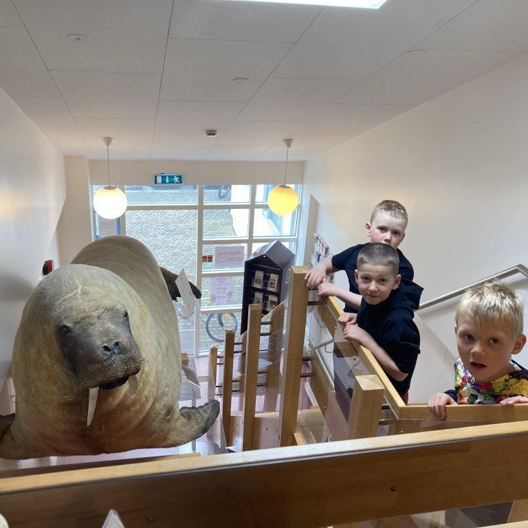 image-20240528-125409-102ad92b