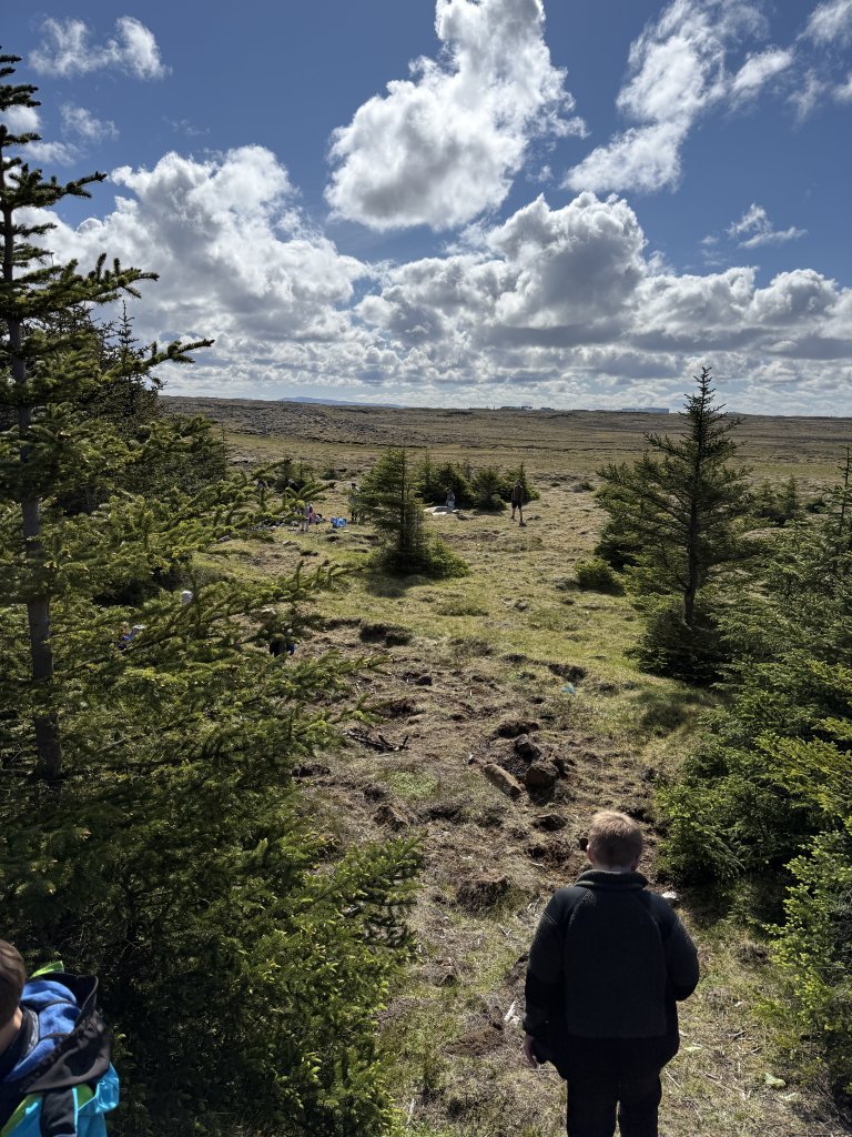 Vorferð 2. bekkjar
