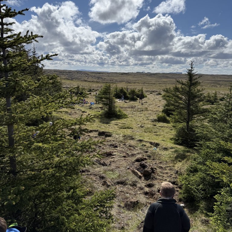 20250528_105950415_ios