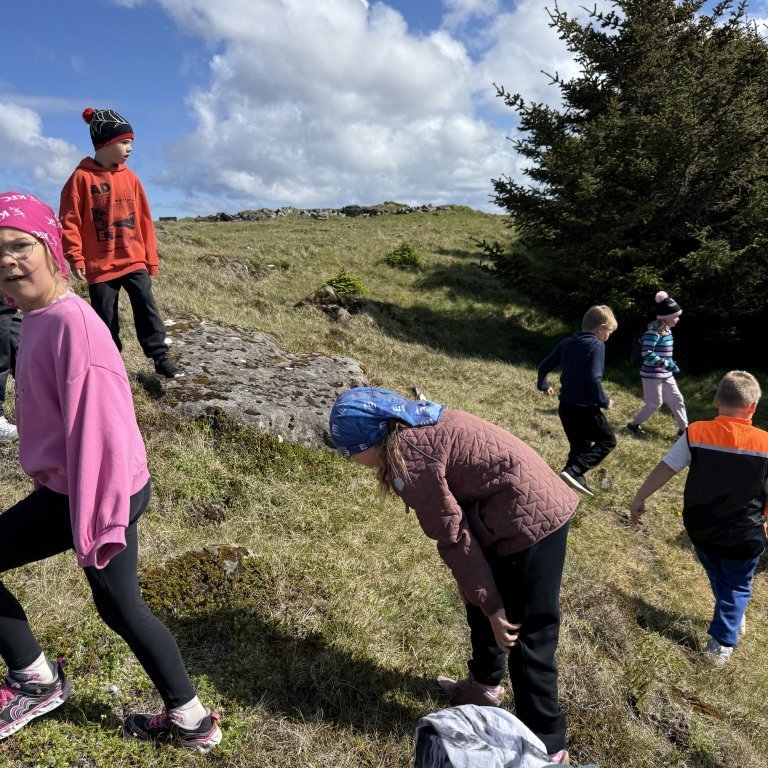 20250528_105953006_ios