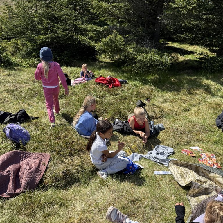 20250528_120828708_ios-1