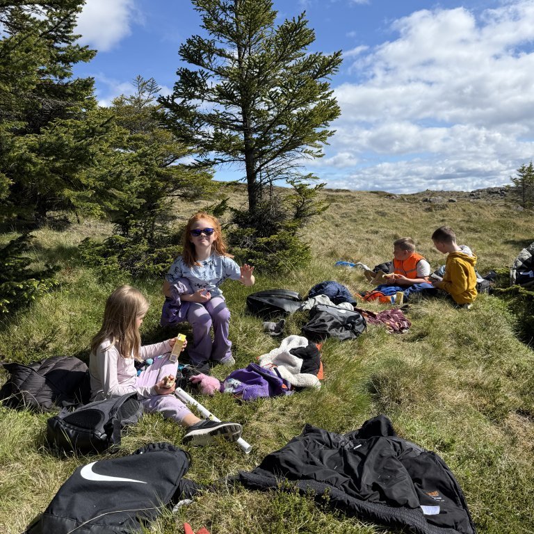 20250528_120844464_ios