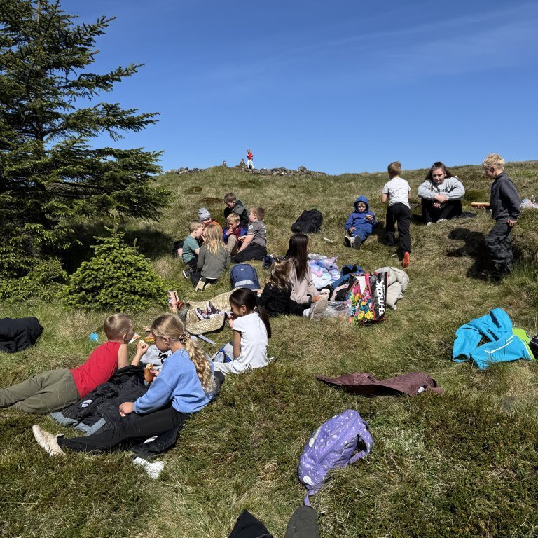 20250528_120907932_ios