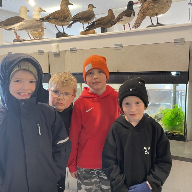 image-20230525-120044-496170bc