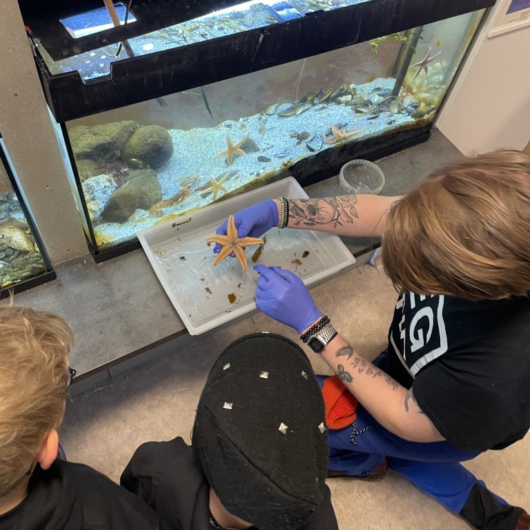 image-20230525-120053-644782e4