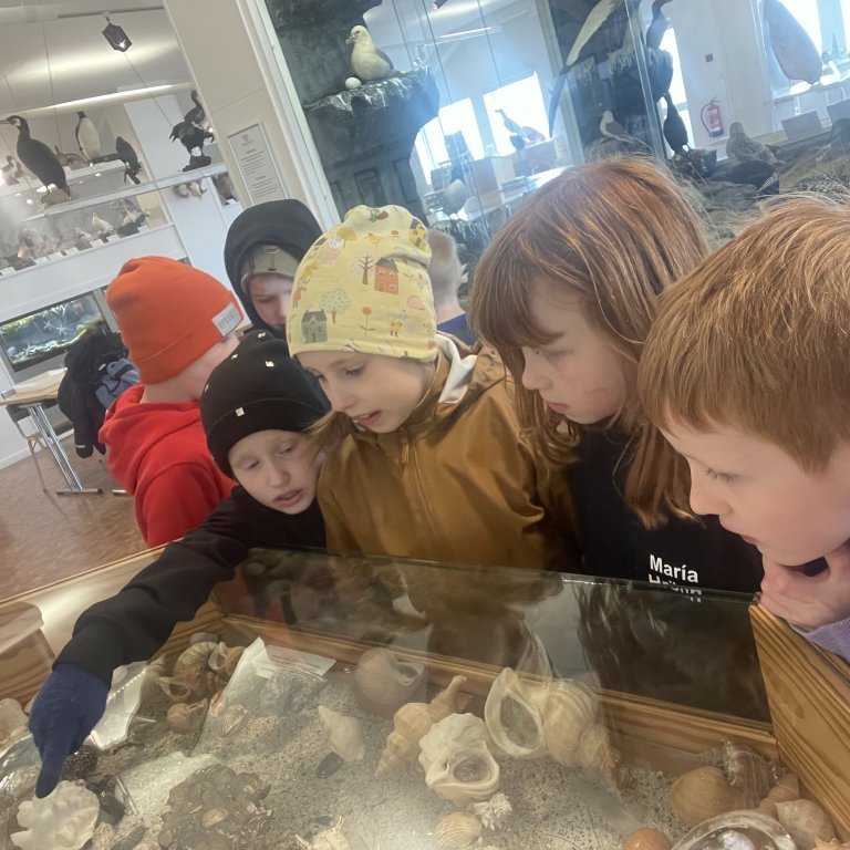 image-20230525-120214-5ef61eaa