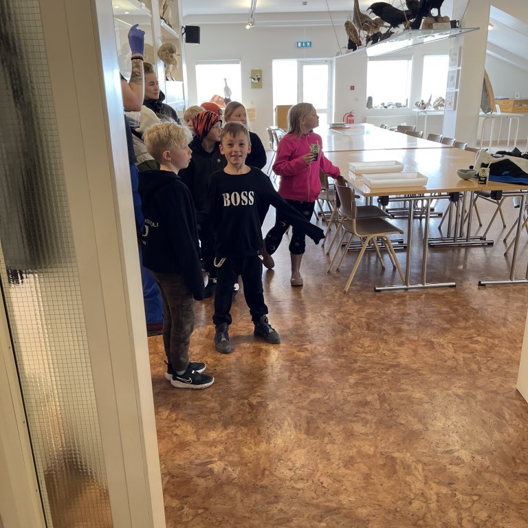 image-20230525-120737-a67f968a