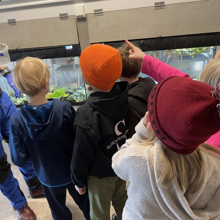 image-20230525-120929-372ec508