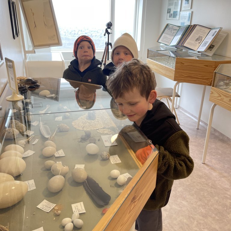 image-20230525-121309-57865268