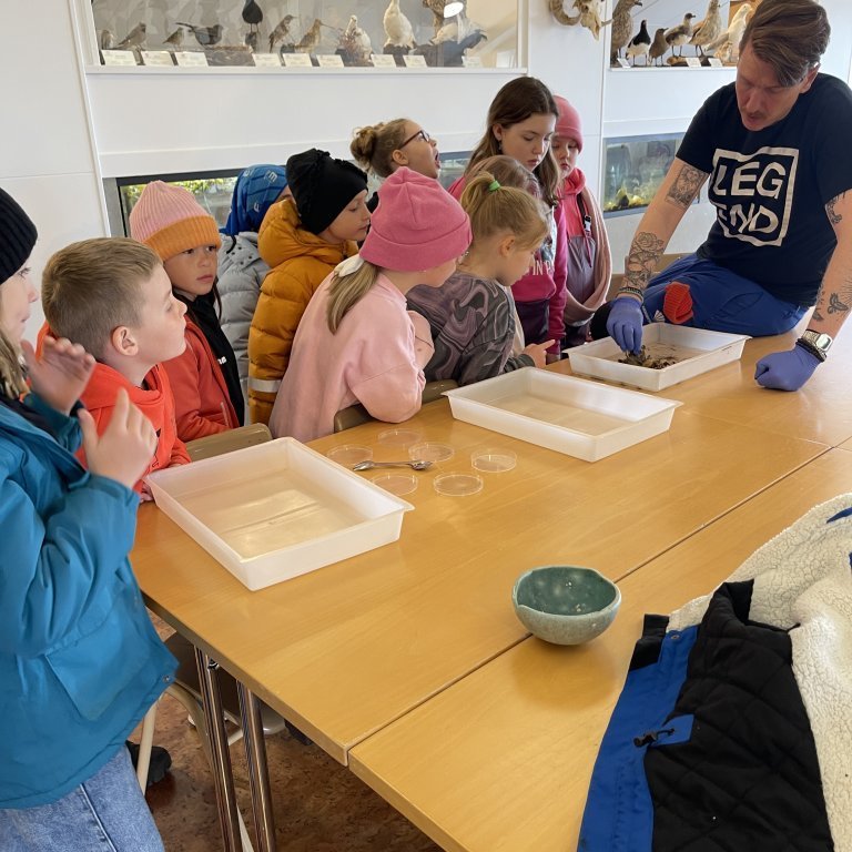 image-20230525-121907-8dd3879d