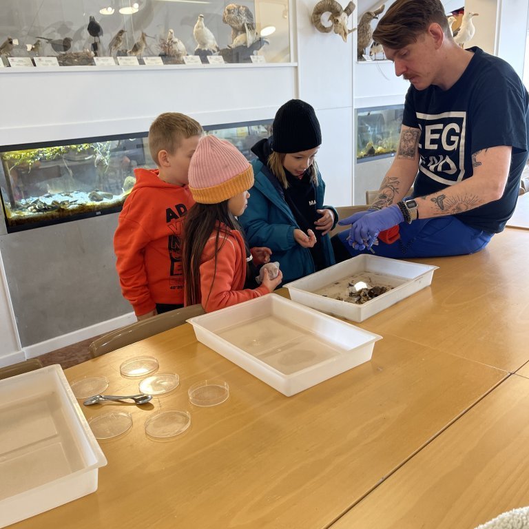 image-20230525-122156-03dd4a88