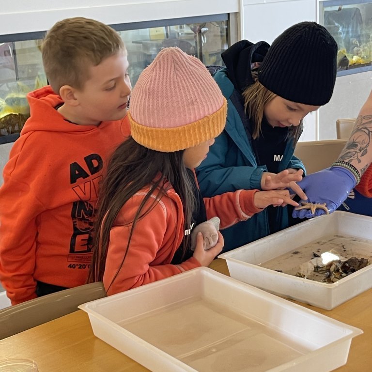 image-20230525-122201-3cc3ee95