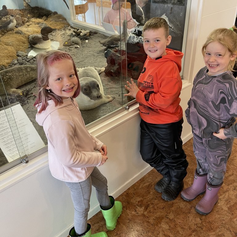 image-20230525-122929-d8119481