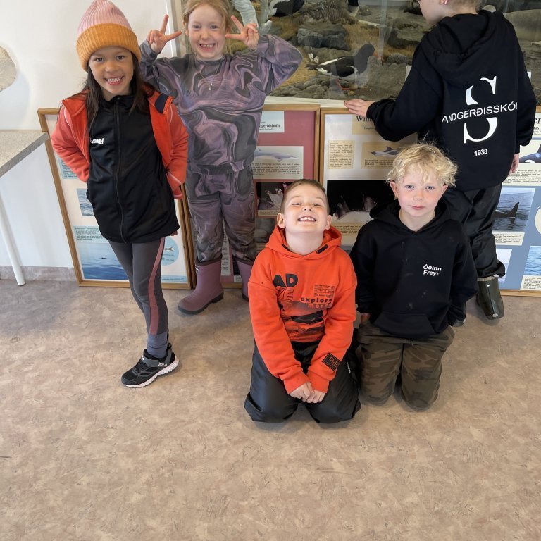 image-20230525-123120-b3ea9b85