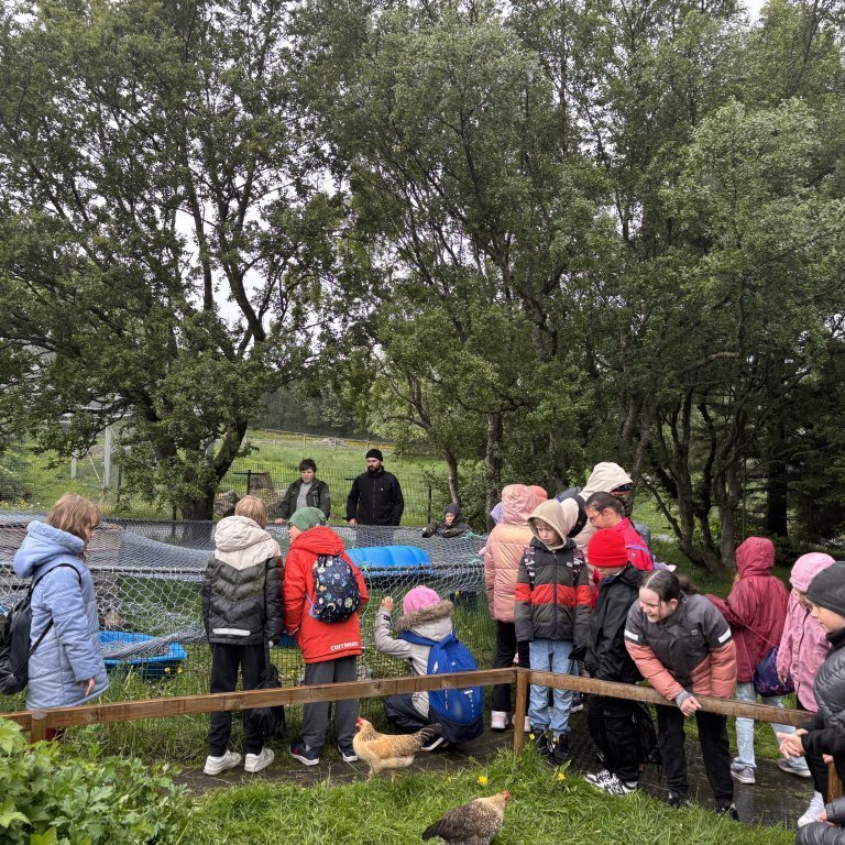 20250528_100323997_ios