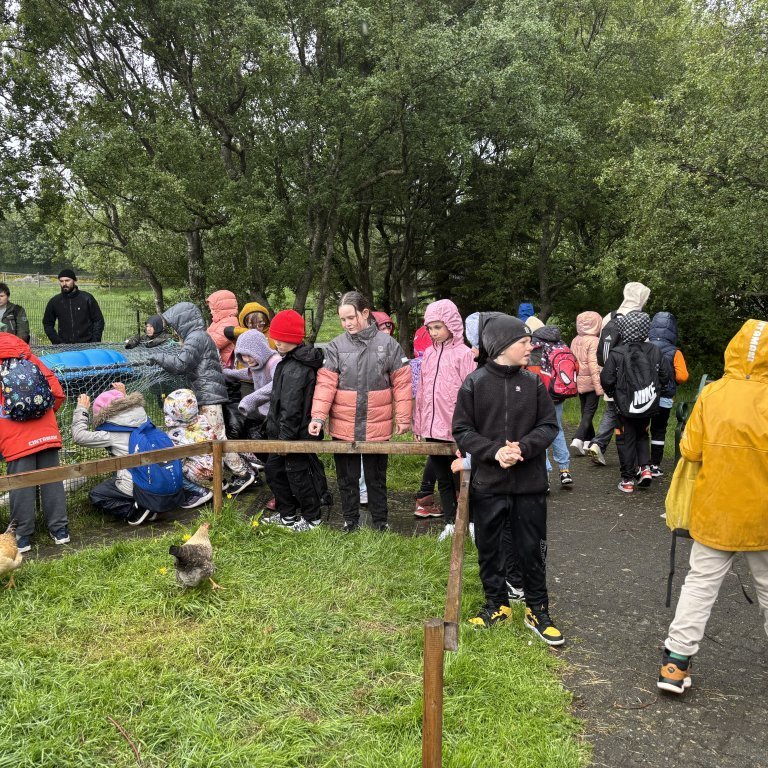 20250528_100328896_ios