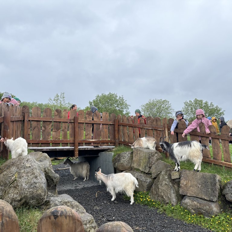 20250528_102140012_ios