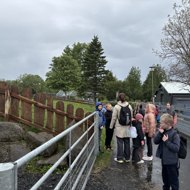 20250528_102147531_ios