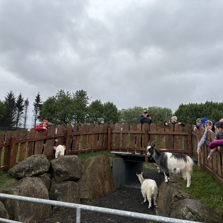 20250528_102202486_ios