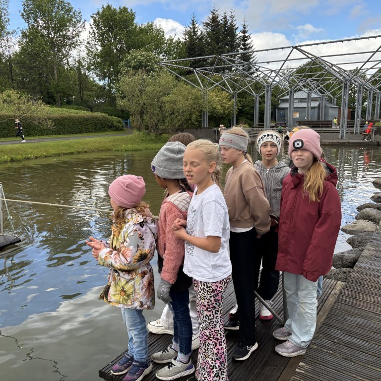 20250528_120306299_ios