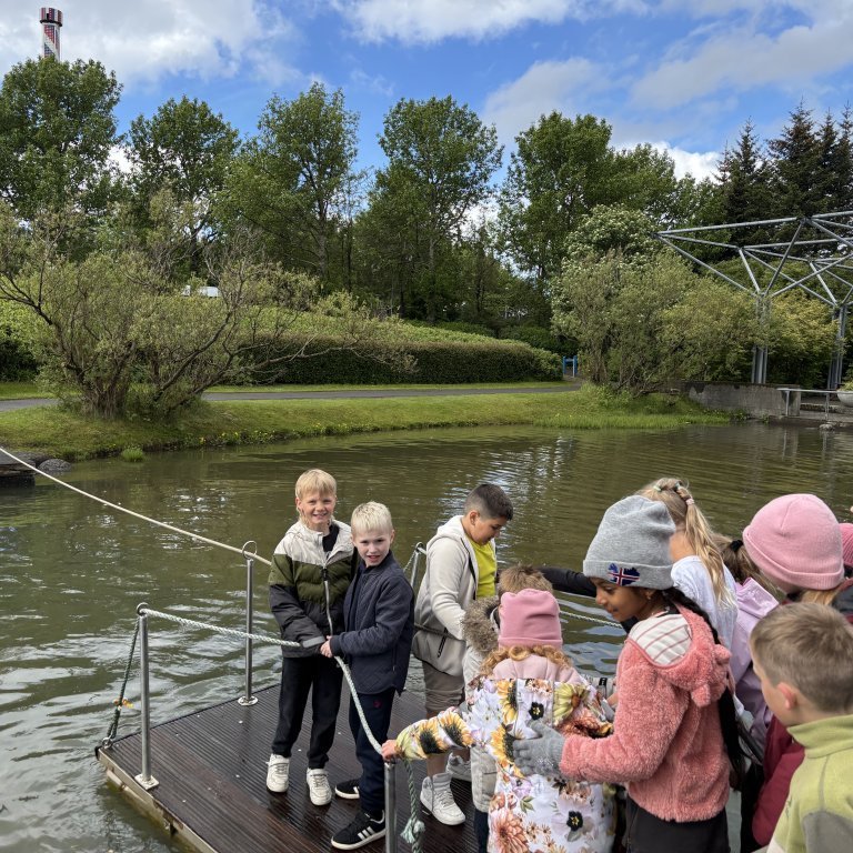 20250528_120726276_ios