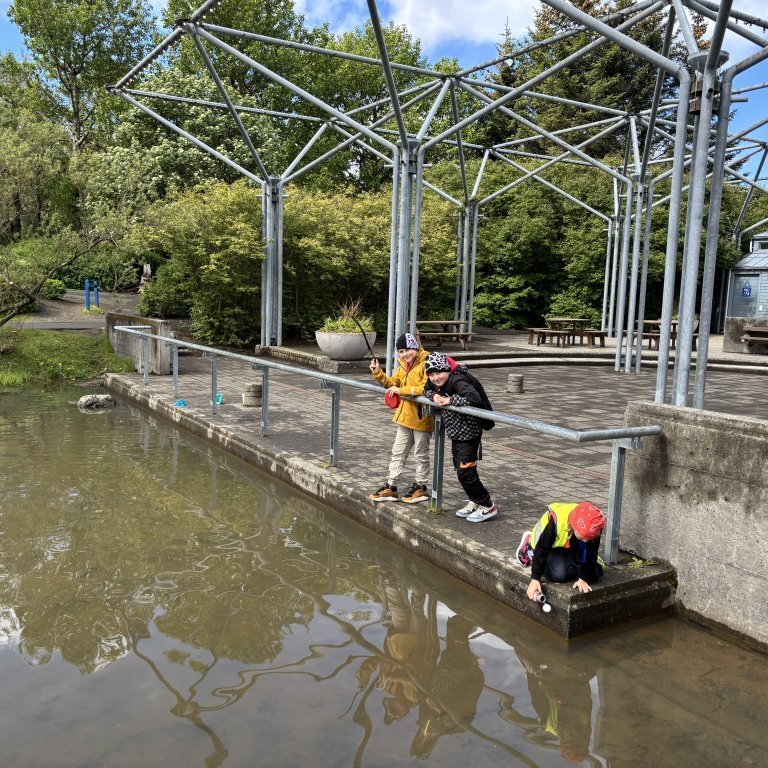 20250528_121928402_ios