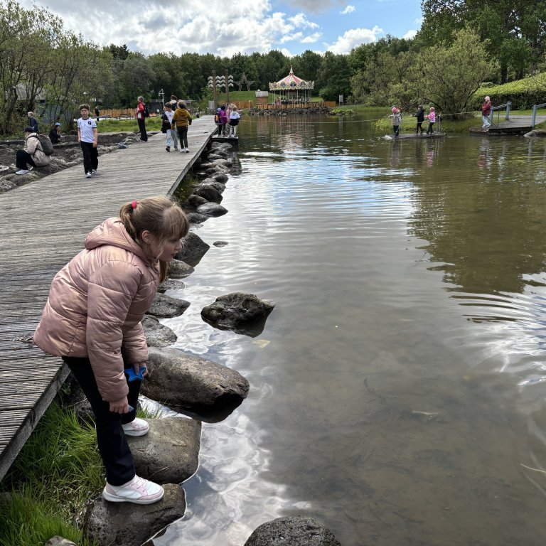 20250528_121944055_ios