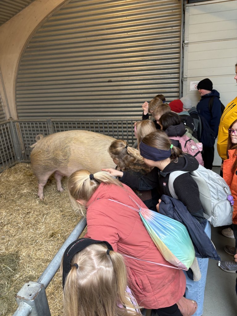 Vorferð 3.bekkjar