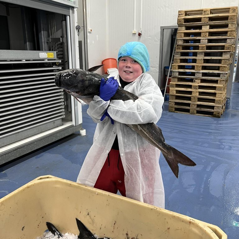 441454901_320981137717057_6847289802391946449_n