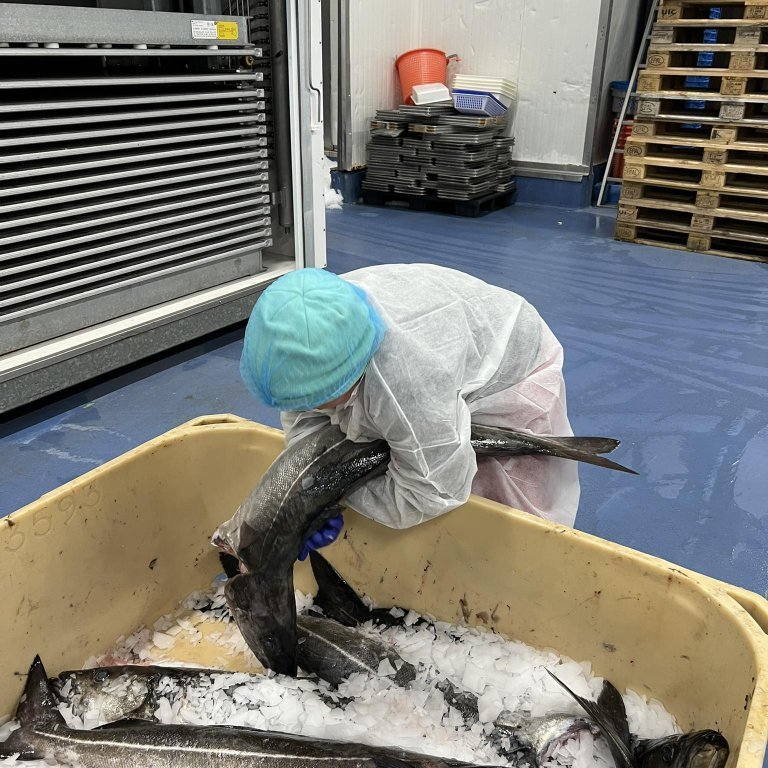 441476688_748963090477590_7352681893680633238_n