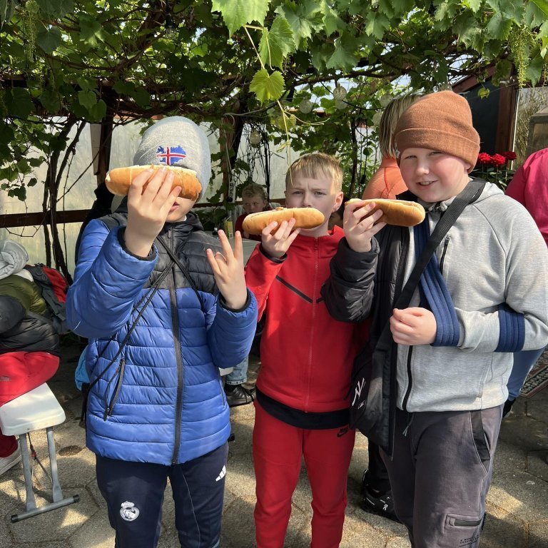 441479283_3746965118925069_4021339628494635074_n